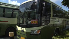 [사회]대란은 아니지만...동부고속 파업으로 강원도행 고속버스 급감 | YTN 대란은 아니지만...동부고속 파업으로 강원도행 고속버스 급감