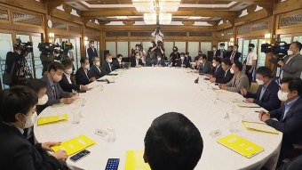 [정치]당정 