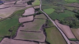 [전국]사라지는 제주 밭담...보전·활용 대책 시급 | YTN 사라지는 제주 밭담...보전·활용 대책 시급