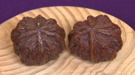 [전국]건강용 명품 귀족호도...박물관은 인문학 공간으로! | YTN 건강용 명품 귀족호도...박물관은 인문학 공간으로!