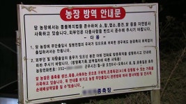 [사회]울산서 곰 3마리 탈출...사육농장 부부 숨진 채 발견 | YTN 울산서 곰 3마리 탈출...사육농장 부부 숨진 채 발견