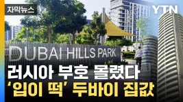 동결된 러시아 자산 여기로...난리 난 두바이 상황 - 러시아-우크라이나 갤러리