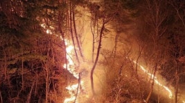 [사회]경북 상주 산불 지속...진화율 70%·86ha 피해 | YTN 경북 상주 산불 지속...진화율 70%·86ha 피해