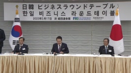 [정치]尹 글로벌 아젠다에 공동 대응...4대그룹 총수 등 한일경제인 만남 | YTN 尹 글로벌 아젠다에 공동 대응...4대그룹 총수 등 한일경제인 만남