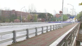 [사회]분당 탄천 다리 80%가 위험...정자교 내일부터 정밀 안전 점검 | YTN 분당 탄천 다리 80%가 위험...정자교 내일부터 정밀 안전 점검