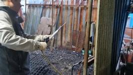 [사회]전기 쇠꼬챙이로 개 도살...파주 육견농장 현장 적발 | YTN 전기 쇠꼬챙이로 개 도살...파주 육견농장 현장 적발