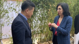 [문화]박기용 영진위원장, 봉준호·전도연 이어 佛 문예공로훈장 수훈 | YTN 박기용 영진위원장, 봉준호·전도연 이어 佛 문예공로훈장 수훈