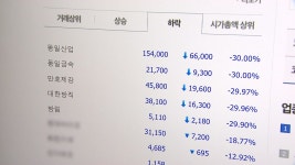 [경제]5개 종목 또 무더기 하한가...금융당국 매매거래 정지 | YTN 5개 종목 또 무더기 하한가...금융당국 매매거래 정지