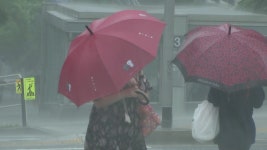 [날씨][속보] 기상청, 구로구에 극한호우...첫 긴급 재난 문자 발송 | YTN [속보] 기상청, 구로구에 극한호우...첫 긴급 재난 문자 발송