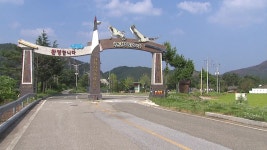[전국]수백억 들였는데 수익은 0원...세금 먹는 삼척 천년학 힐링타운 | YTN 수백억 들였는데 수익은 0원...세금 먹는 삼척 천년학 힐링타운