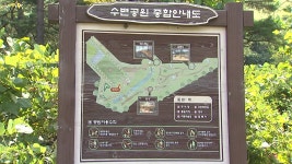 [전국]농어촌공사에 사기 당해...잡초만 무성한 저수지 수변공원 | YTN 농어촌공사에 사기 당해...잡초만 무성한 저수지 수변공원