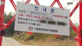 [경제]소 럼피스킨병 확진 77건으로 늘어...서산·강화서도 확진 | YTN 소 럼피스킨병 확진 77건으로 늘어...서산·강화서도 확진