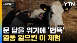 [자막뉴스] 오 놀라워요!...번뜩 떠오른 아이디어로 열풍 | YTN [자막뉴스] 오 놀라워요!...번뜩 떠오른 아이디어로 열풍