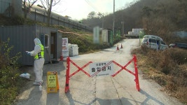 [전국]충남 아산 산란계 농장에서 조류인플루엔자 항원 검출...고병원성인지 확인 중 | YTN 충남 아산 산란계 농장에서 조류인플루엔자 항원... 