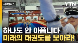 [자막뉴스] 허공을 향한 발차기...이것이 미래의 태권도 | YTN [자막뉴스] 허공을 향한 발차기...이것이 미래의 태권도