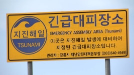 [전국]대피소가 어딘가요?...동해안 지진해일 대비 허점투성이 | YTN 대피소가 어딘가요?...동해안 지진해일 대비 허점투성이