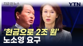 [지금이뉴스]노소영, 최태원 재산분할 요구액 상향...'현금 2조 원' | YTN 노소영, 최태원 재산분할 요구액 상향...'현금 2조 원' [지금이뉴스] 