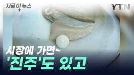 [지금이뉴스] 시장에서 산 조개 먹다가 일확천금? | YTN [지금이뉴스] 시장에서 산 조개 먹다가 일확천금?