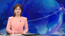 [재외동포소식] 사할린 동포 영주귀국자 90명 배편으로 입국 | YTN