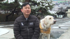 [사회]눈이자 친구이고 가족이죠...안내견과 직접 걸어보니 | YTN 눈이자 친구이고 가족이죠...안내견과 직접 걸어보니