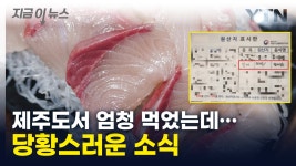 [자막뉴스]내가 뭘 먹은거야...제주도 생선의 배신 [지금이뉴스] | YTN 내가 뭘 먹은거야...제주도 생선의 배신 [지금이뉴스]