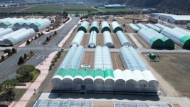 [전국][녹색] 스마트팜 업그레이드 쉬워진다...농업용 앱스토어 아라온실 개발 | YTN [녹색] 스마트팜 업그레이드 쉬워진다...농업용 앱스토어... 