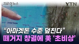 마리&美 | [지금이뉴스]수백조 마리 출현예고...221년 만에 비상 걸린 美 | YTN 수백조 마리 출현예고...221년 만에 비상 걸린 美 [지금이뉴스]
