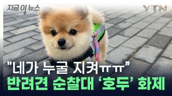 [지금이뉴스]