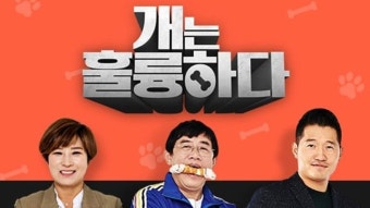 [문화]'개훌륭', 오늘(17일) 강형욱 없이 방송 재개…결방 5주 만 | YTN '개훌륭', 오늘(17일) 강형욱 없이 방송 재개…결방 5주 만