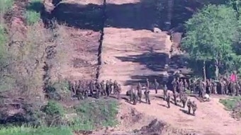 [정치]軍 