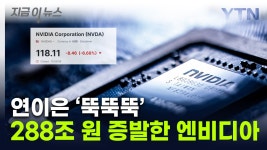 [지금이뉴스]시총 288조 원 증발...엔비디아 주가 '곤두박질' | YTN 시총 288조 원 증발...엔비디아 주가 '곤두박질' [지금이뉴스]
