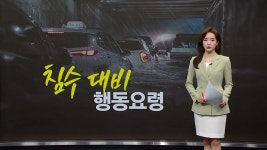 [사회]운전 시 물이 차오르면 앞바퀴 잠김 정도 중요...침수 대비 행동요령 [앵커리포트] | YTN 운전 시 물이 차오르면 앞바퀴 잠김... 