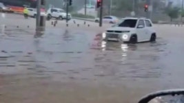 [사회][제보영상] 경기 평택시 송탄면 도로에 물 바퀴까지 차올라 | YTN [제보영상] 경기 평택시 송탄면 도로에 물 바퀴까지 차올라