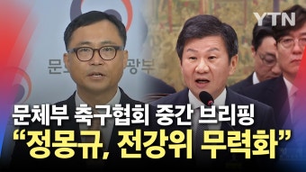 [정치]문화체육관광부, 축구협회 중간 브리핑 