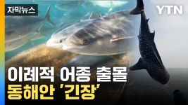 [자막뉴스] 희귀 생물 출몰까지... 급변하는 동해 미래는? | YTN [자막뉴스] 희귀 생물 출몰까지... 급변하는 동해 미래는?