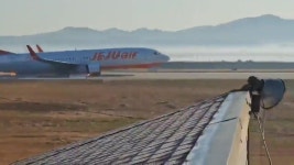 [사회][뉴스UP] 무안 제주항공 여객기 참사...사고 원인은 조류 충돌? | YTN [뉴스UP] 무안 제주항공 여객기 참사...사고 원인은 조류 충돌?