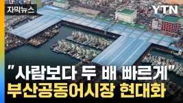 [자막뉴스] 60년 세월 탈바꿈...부산공동어시장 현대화 | YTN [자막뉴스] 60년 세월 탈바꿈...부산공동어시장 현대화