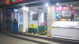 [사회]경찰, 이복형 살해 30대 정신병력 확인 | YTN 경찰, 이복형 살해 30대 정신병력 확인