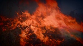 [날씨][단독] 올봄 산불 위험 10년새 최고...이번 주 양간지풍 비상 | YTN [단독] 올봄 산불 위험 10년새 최고...이번 주 양간지풍 비상