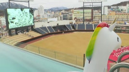 [스포츠]인피니티 풀에서 야구 관람...한화 신축 구장 개장식 | YTN 인피니티 풀에서 야구 관람...한화 신축 구장 개장식