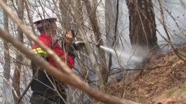 [전국]산불에 통신·전기 모두 마비...이 시각 경북 영덕 | YTN 산불에 통신·전기 모두 마비...이 시각 경북 영덕