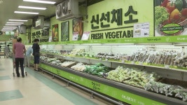 [전국][전북]여름철 농산물 잔류 농약 검사 실시 | YTN [전북]여름철 농산물 잔류 농약 검사 실시