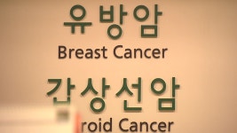 [사회]녹십자 의료재단, 뒤바뀐 조직 검사 결과...암 아닌데 유방 부분절제수술 | YTN 녹십자 의료재단, 뒤바뀐 조직 검사 결과...암 아닌데 유방... 