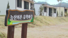 [전국]폐교 살리고 인구 늘고...장흥 농산어촌 유학마을의 기적 | YTN 폐교 살리고 인구 늘고...장흥 농산어촌 유학마을의 기적