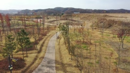 [전국]매립지에 피어나는 생명의 숲...경기지방정원 새로숲 착공 | YTN 매립지에 피어나는 생명의 숲...경기지방정원 새로숲 착공