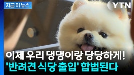 [지금이뉴스]애견동반 이제 식당에서 합법...희망하는 업소에 적용 | YTN 애견동반 이제 식당에서 합법...희망하는 업소에 적용 [지금이뉴스]