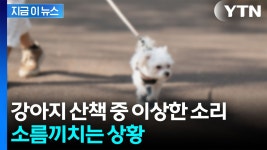 [지금이뉴스]강아지와 산책하는 여성 향해 치명적 저격...경찰 추적 중 | YTN 강아지와 산책하는 여성 향해 치명적 저격...경찰 추적 중 [지금이뉴스] 