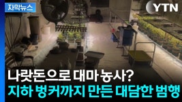 [자막뉴스]지하 벙커까지 파고 대마 재배...스마트팜 지원금 악용 논란 | YTN 지하 벙커까지 파고 대마 재배...스마트팜 지원금 악용 논란 [자막뉴스]