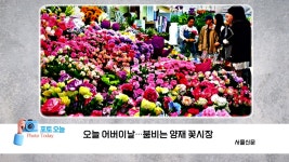 [전국][포토오늘] 0508 오늘 어버이날...붐비는 양재 꽃시장 | YTN [포토오늘] 0508 오늘 어버이날...붐비는 양재 꽃시장