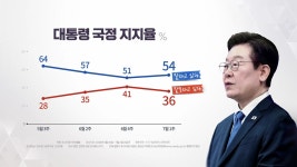 [정치]이 대통령 지지율 54%...